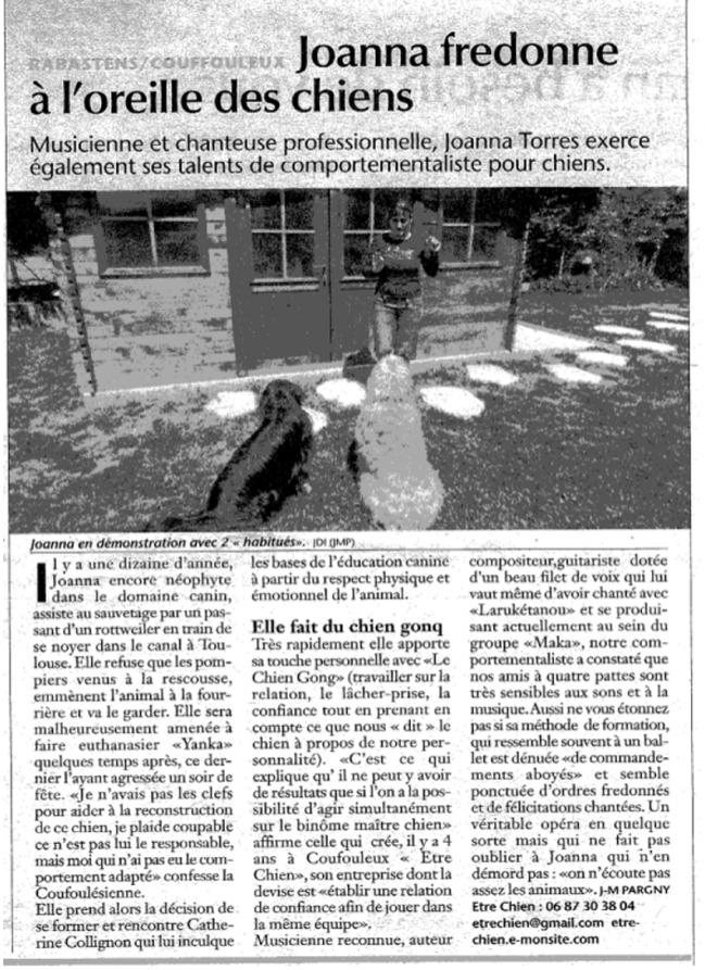 Article journal d ici
